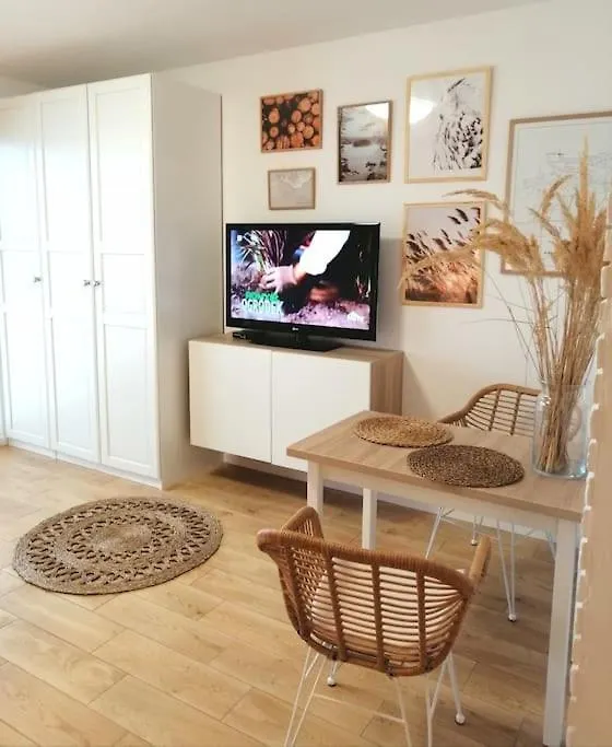 Boho Apartament - Studio contacts